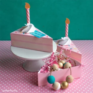Cake Slice Box